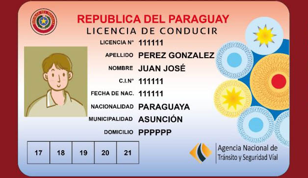 Serviços 8 Licencia de Conducir
