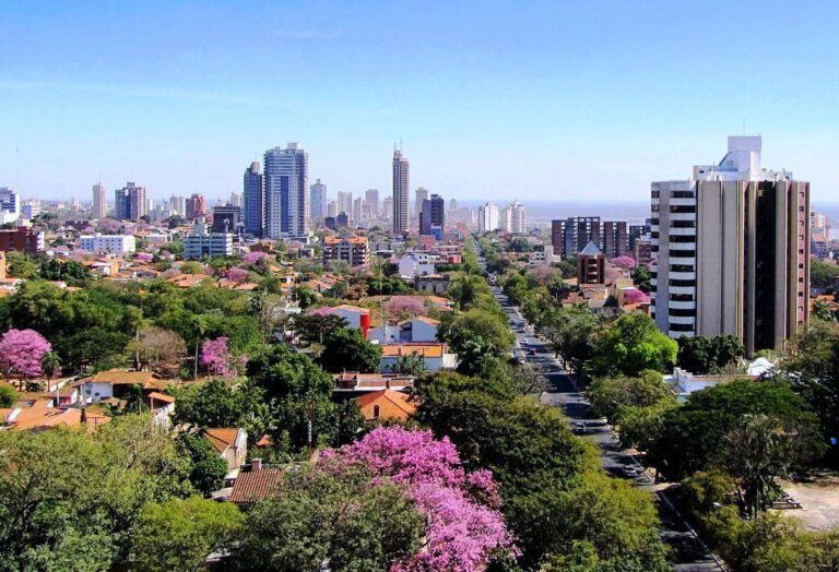 asunciocc81n 4